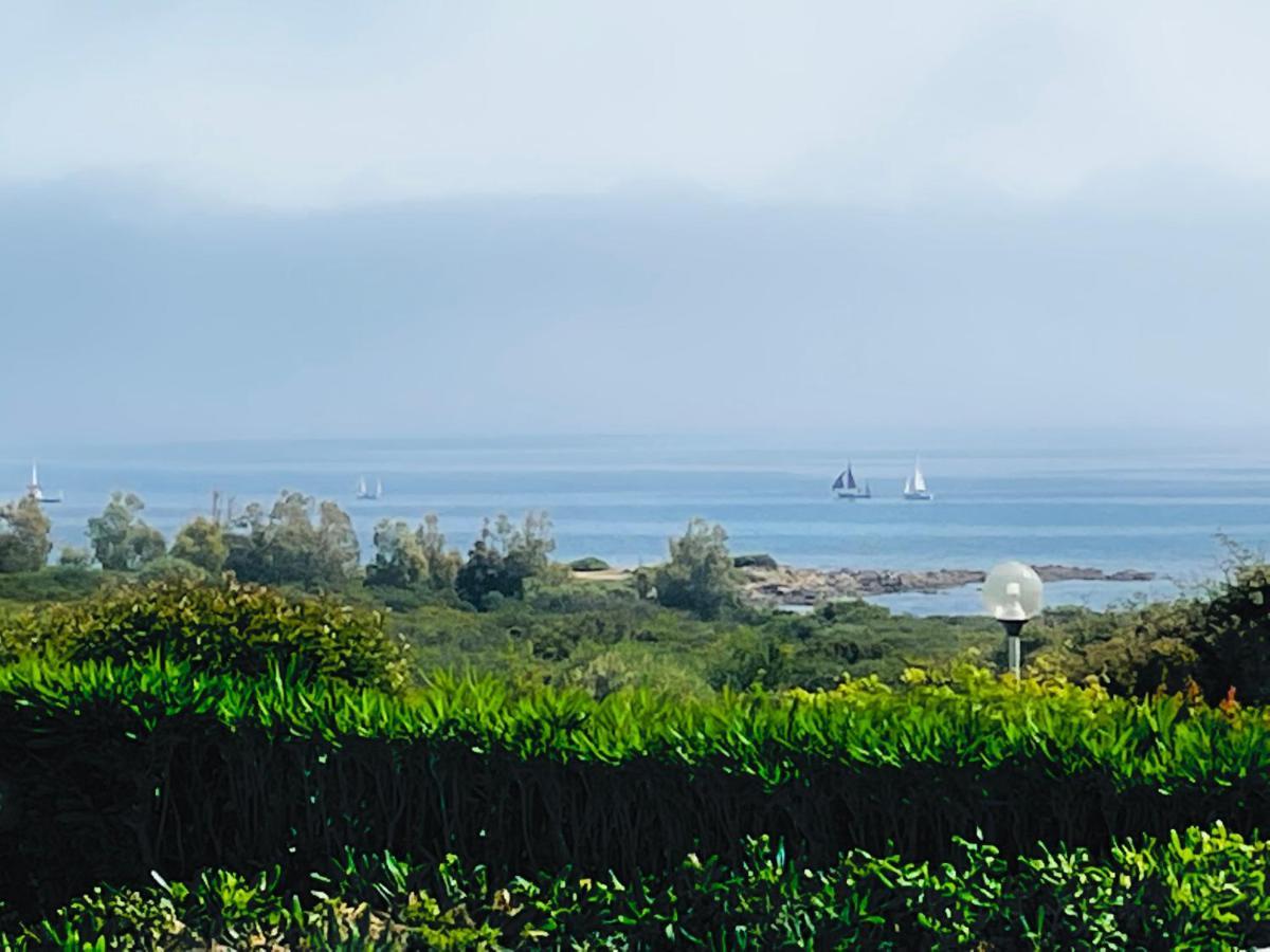 Adel San Teodoro (Sardinia)